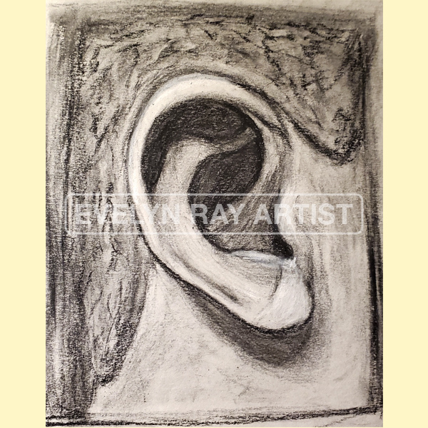 Male Ear